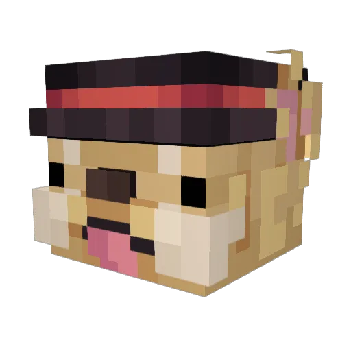 steez Minecraft avatar head, 3D render