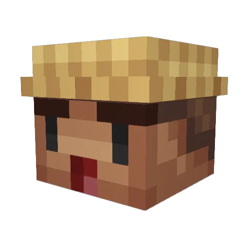 stefaN_002 Minecraft avatar head, 3D render