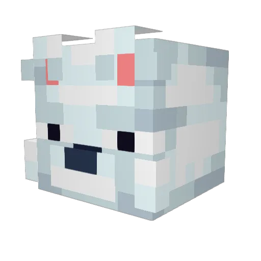 stefan_sees Minecraft avatar head, 3D render