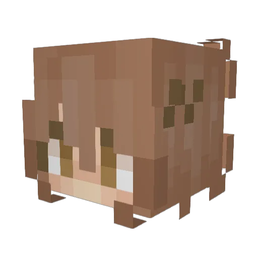 stefanni_mah Minecraft avatar head, 3D render