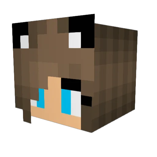 stefanowitz Minecraft avatar head, 3D render