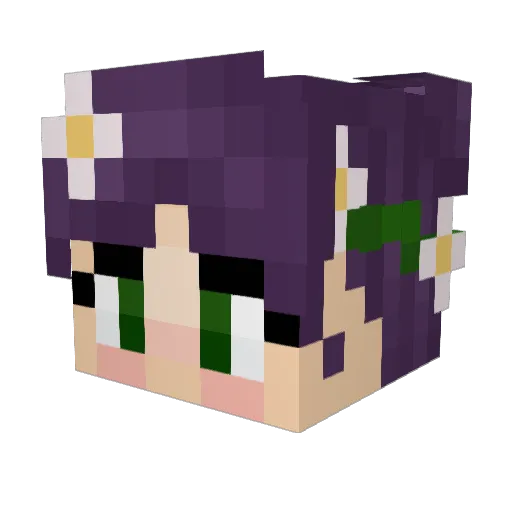 steffinitely Minecraft avatar head, 3D render