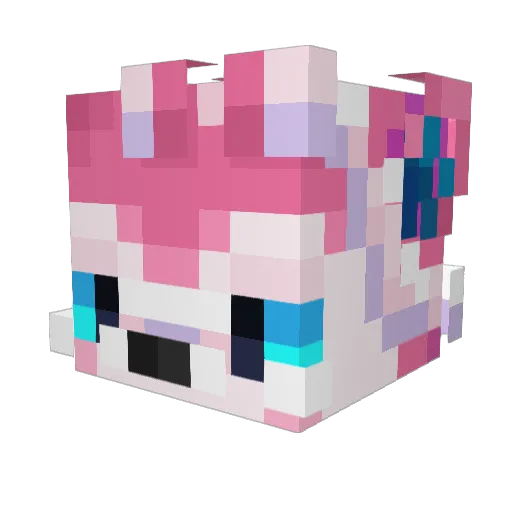 steftron3 Minecraft avatar head, 3D render