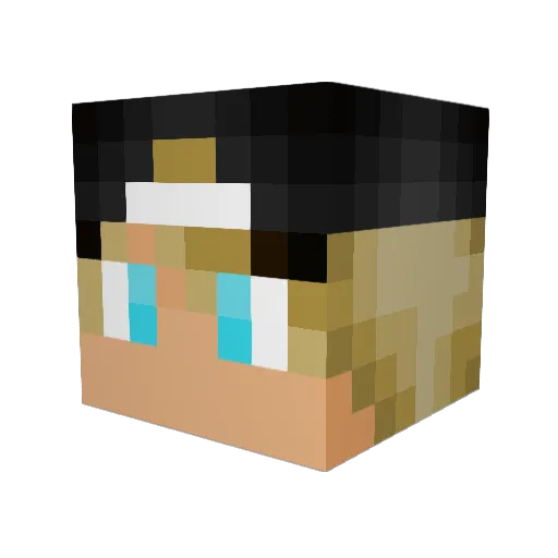 steggn Minecraft avatar head, 3D render