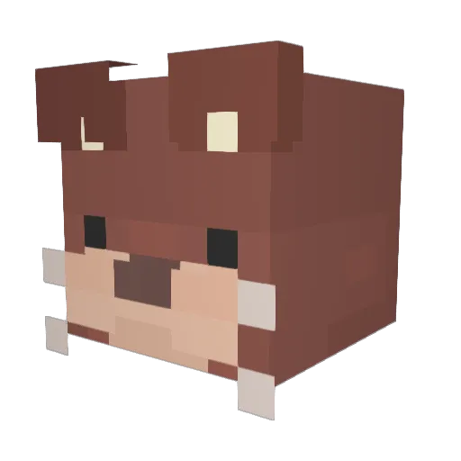 stegpeng Minecraft avatar head, 3D render