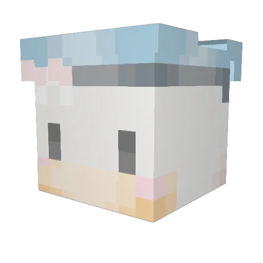 steijnd_ Minecraft avatar head, 3D render