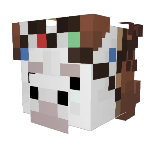 stein1125 Minecraft avatar head, 3D render