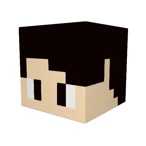 steinhacke Minecraft avatar head, 3D render