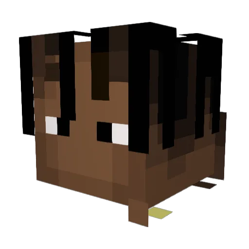 stejkus Minecraft avatar head, 3D render