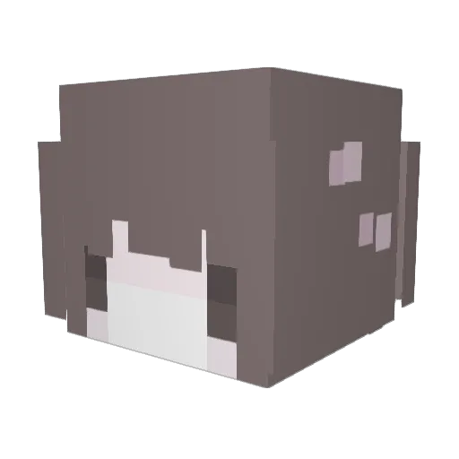 stelah Minecraft avatar head, 3D render