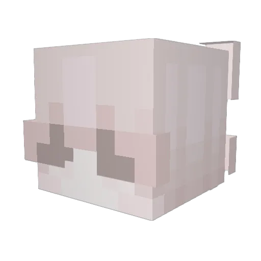 steliti Minecraft avatar head, 3D render