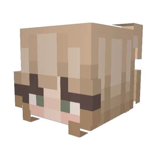 stella0201 Minecraft avatar head, 3D render