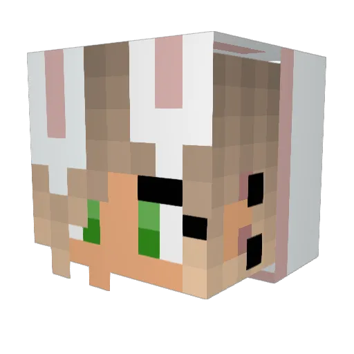 stella1567 Minecraft avatar head, 3D render