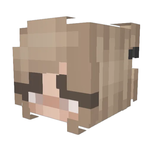 stella_jolie Minecraft avatar head, 3D render