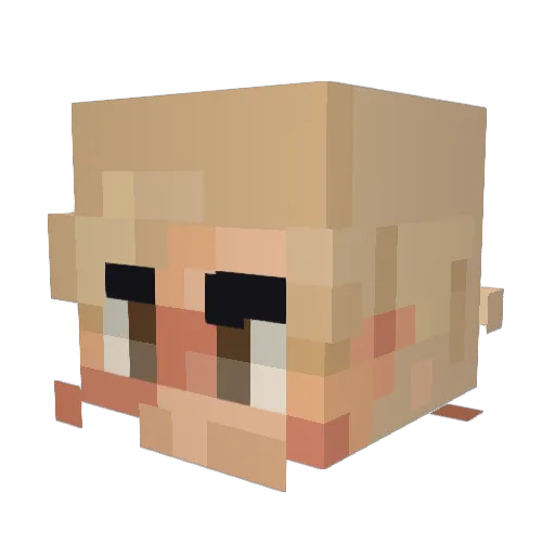 stellaexpo Minecraft avatar head, 3D render