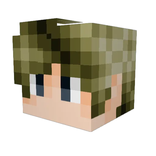 stellaisgreat Minecraft avatar head, 3D render