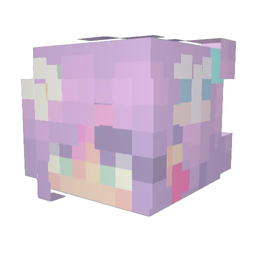 stellarcatradio Minecraft avatar head, 3D render