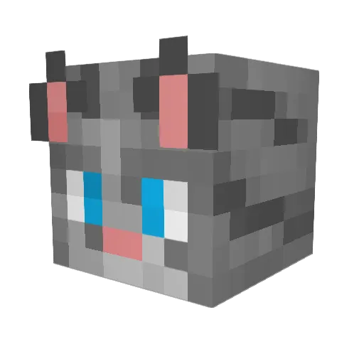 stellata Minecraft avatar head, 3D render