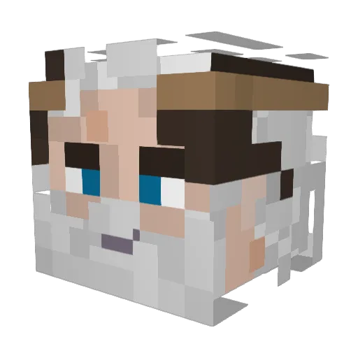 stellataclave1 Minecraft avatar head, 3D render