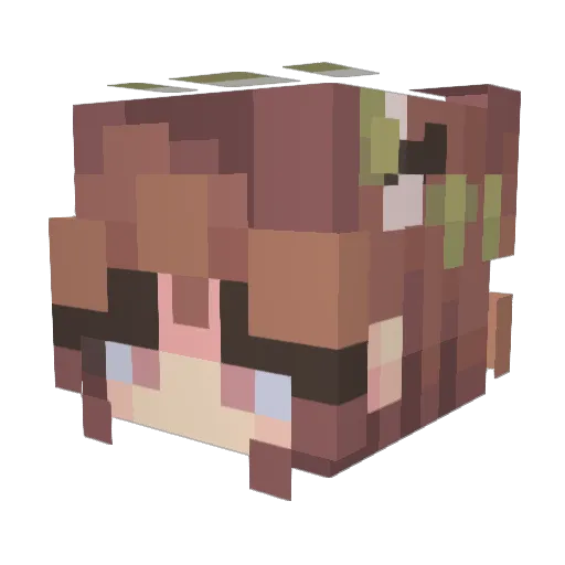 stellax404 Minecraft avatar head, 3D render