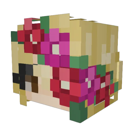 stellwyn Minecraft avatar head, 3D render