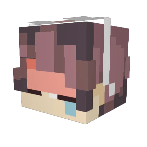 stelp Minecraft avatar head, 3D render