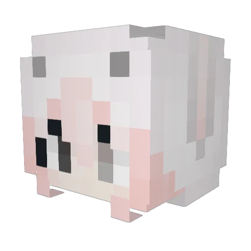 stelsi Minecraft avatar head, 3D render