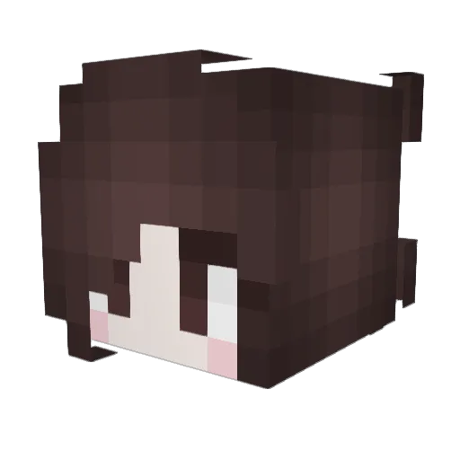 stelsies Minecraft avatar head, 3D render