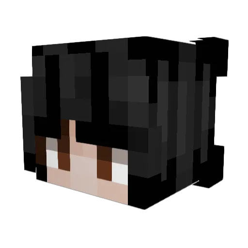 stemZ Minecraft avatar head, 3D render