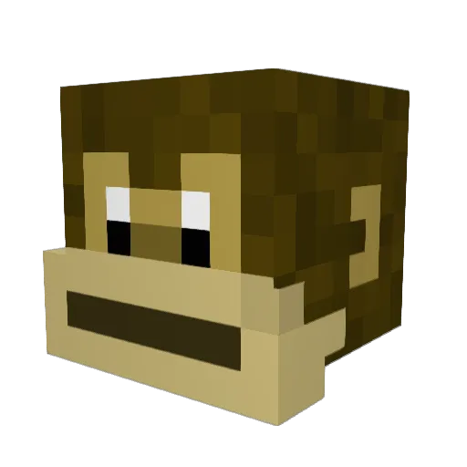 sten890 Minecraft avatar head, 3D render