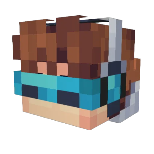 stenks1337 Minecraft avatar head, 3D render