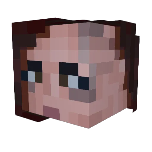 stenseN Minecraft avatar head, 3D render