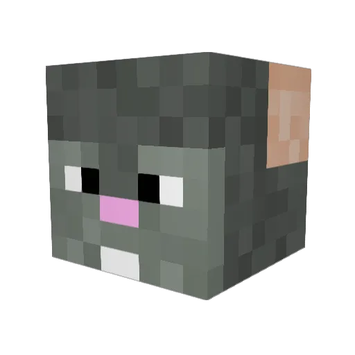 stenvipre Minecraft avatar head, 3D render