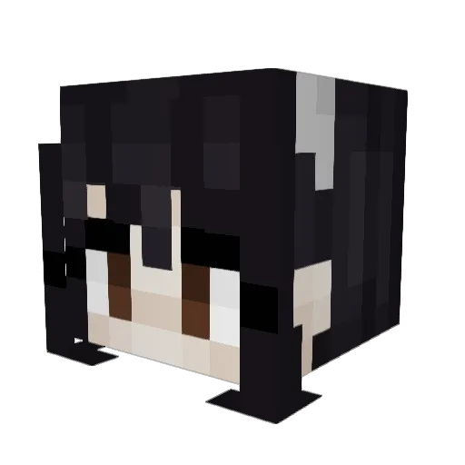 step_hardcat Minecraft avatar head, 3D render