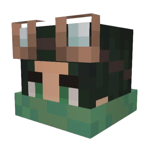 stepam04 Minecraft avatar head, 3D render