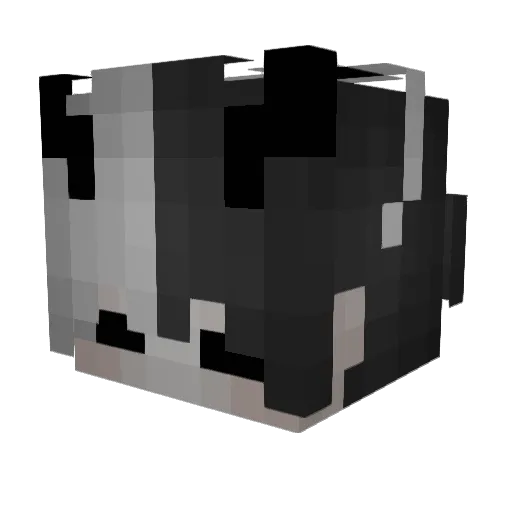 stepbroZOKI Minecraft avatar head, 3D render