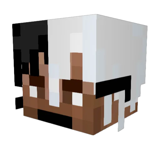 stepbrojonas Minecraft avatar head, 3D render