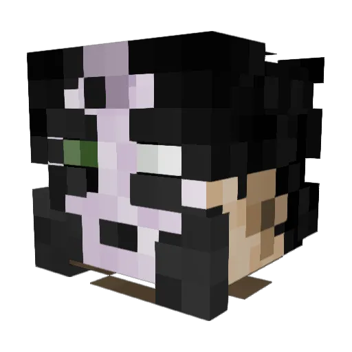 stepbropollo Minecraft avatar head, 3D render
