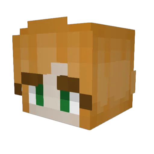 steph1314 Minecraft avatar head, 3D render