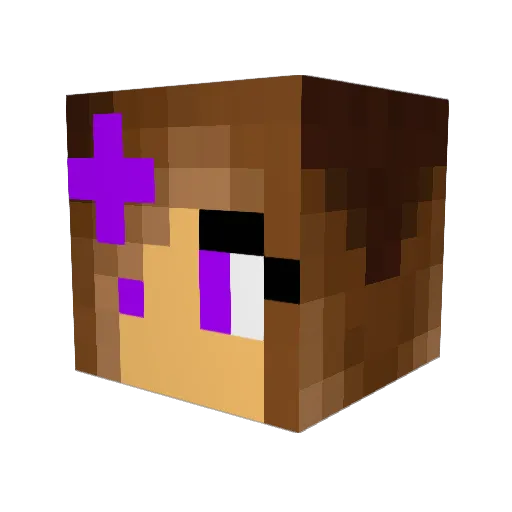 stephano02q Minecraft avatar head, 3D render