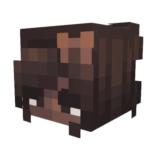 stephbird145 Minecraft avatar head, 3D render