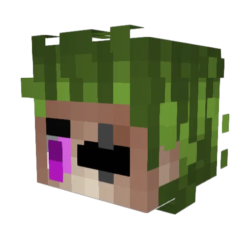 stephen_o9_ Minecraft avatar head, 3D render