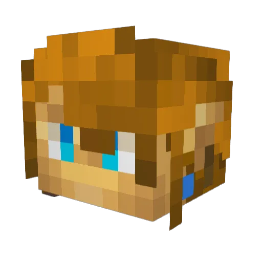 stephenm1109 Minecraft avatar head, 3D render