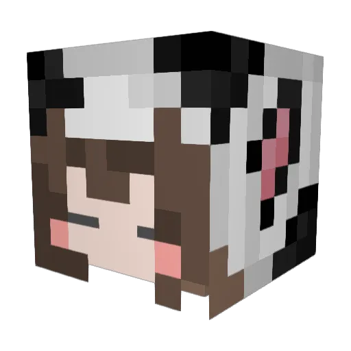 stepmashh Minecraft avatar head, 3D render