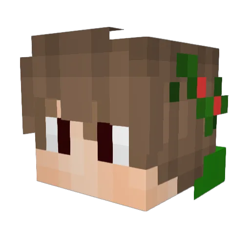 steponalego Minecraft avatar head, 3D render