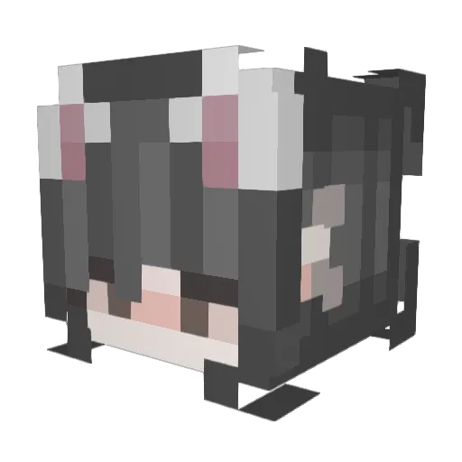stepsisAlicee Minecraft avatar head, 3D render