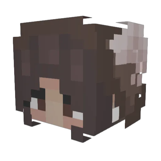 stepsispola Minecraft avatar head, 3D render