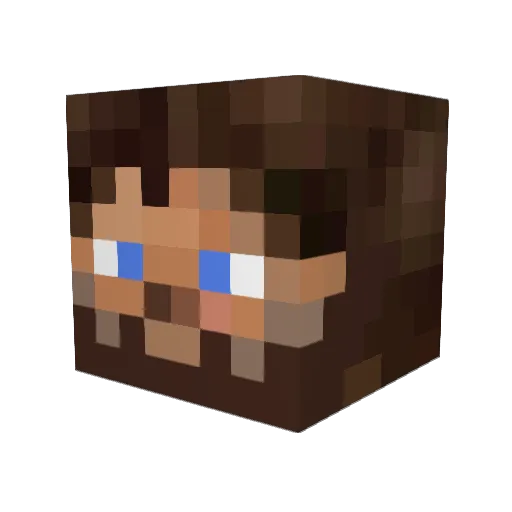 stepus53 Minecraft avatar head, 3D render