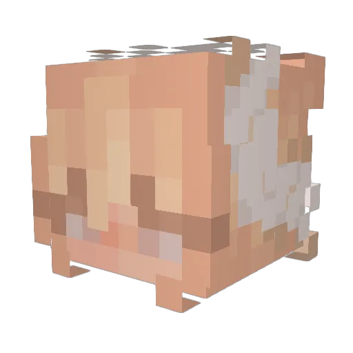 steqhr Minecraft avatar head, 3D render