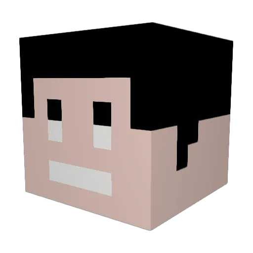 sterben27 Minecraft avatar head, 3D render